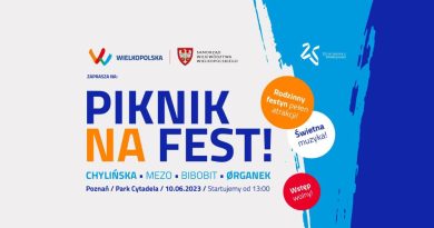 Piknik na fest