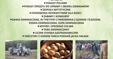 Poznańska pyra w Szreniawie