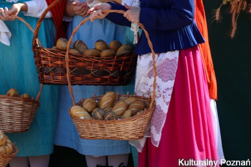 Dozynki-Miejskie-w-Parku-Wilsona-2023-23